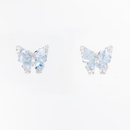 The Gossamer Sky Butterfly